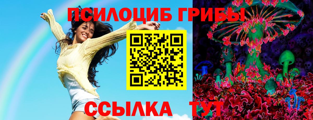 Галлюциногенные грибы Psilocybe Кисловодск