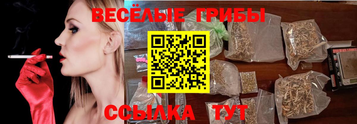 Кисловодск  Галлюциногенные грибы GOLDEN TEACHER  Вход с VPN 